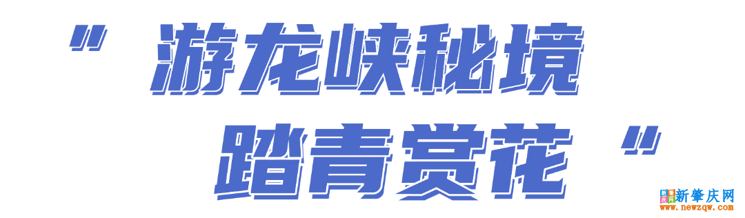 3050f086ffac99bfe435d15105b159fd.png